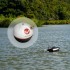 Забрасываемый эхолот Rippton Hydrobat Castable Sonar Fish Finder
