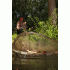 Подсак карповый 2.4 м Двухчастный Fox  - Horizon X4  S 8ft Pole Landing Net 106 см / 42"