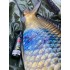 Антисептик Carptoday AYBOLIT Spray Антисептик Carptoday AYBOLIT Spray