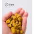 Пеллетс NICK BAITS GOLD PELLETS FISHFRUITS 14 мм (Тигровый орех) Пеллетс NICK BAITS GOLD PELLETS FISHFRUITS 14 мм (Тигровый орех)